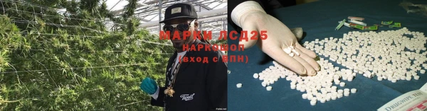 прущая мука Арсеньев