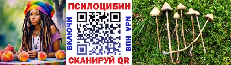блэк спрут ТОР  Алапаевск  Псилоцибиновые грибы Psilocybine cubensis 